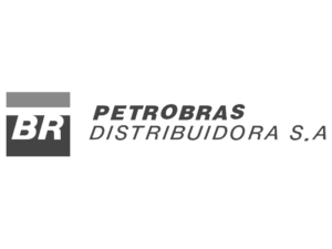 Logo Petrobras Distribuidora